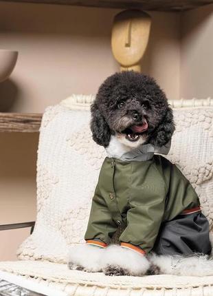 Дощовик для собак pet fashion «jimi» xs-2 (4823082431519)6 фото