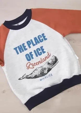 Джемпер для мальчика бемби дж254 р86