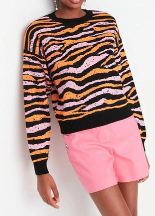 Яскравий светр в зебру