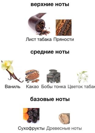 Аромадиффузор с палочками tobacco vanille, аромат для дома табак ваниль ester 100 мл2 фото