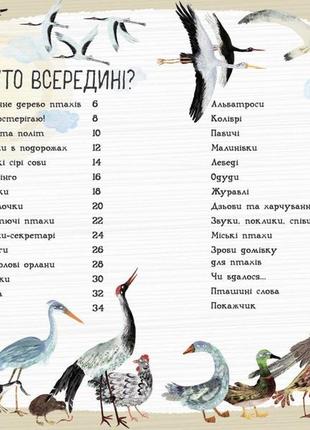 Дитяча книга про птахів. енциклопедія "велика книга птахів" - ювал зоммер2 фото