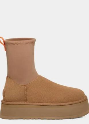 Женские ботинки classic dipper ugg3 фото