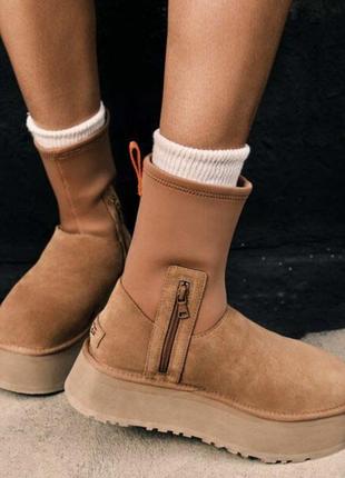 Женские ботинки classic dipper ugg1 фото