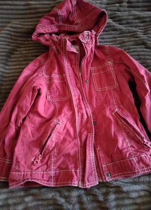 Темно красная ветровка