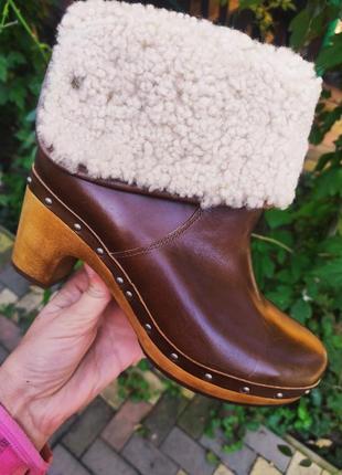 38 разм. сапоги ugg Чоботи australia. кожа