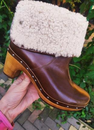 38 разм. сапоги ugg australia. кожа