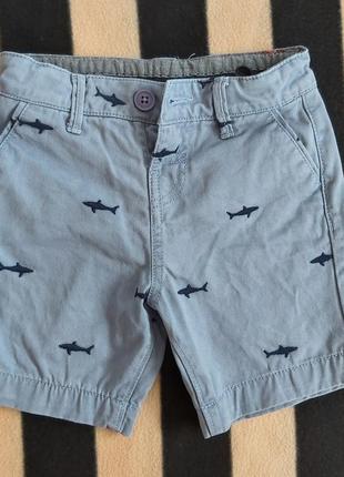 Шорти levi's