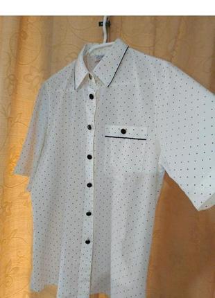 Delmod деловая классическая блузка в горошек1 фото