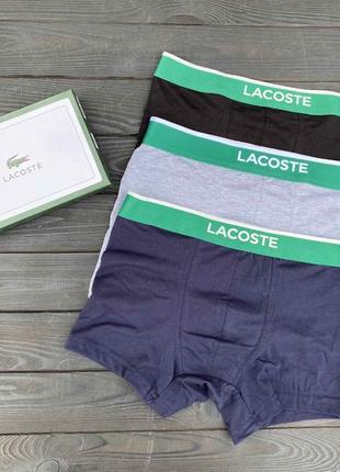 Набор трусов мужских в подарок, 3шт, lacoste (5160) м