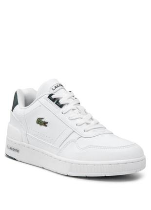 Новые кроссовки lacoste