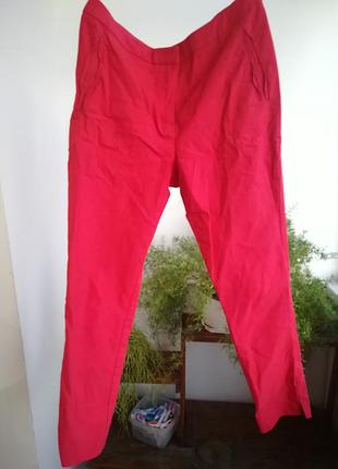 Літні класичні штани