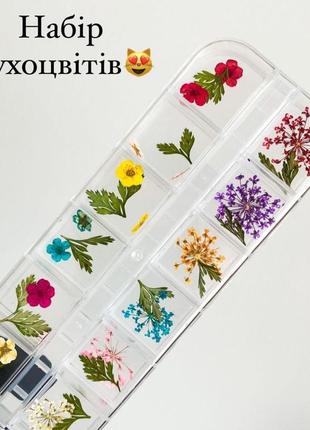 Сухоцветы для дизайна ногтей №1