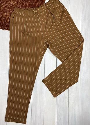 Коричневі брюки в білу смужку