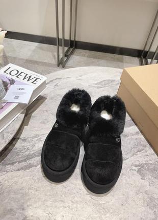 Укорочені уггі ugg3 фото