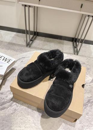 Укорочені уггі ugg6 фото