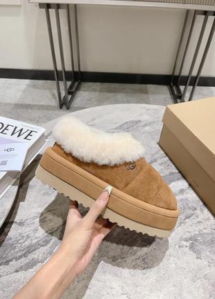 Укорочені угги ugg4 фото