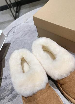 Укорочені угги ugg6 фото