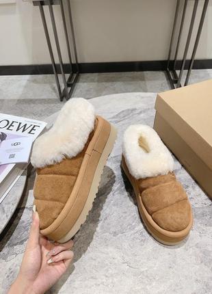 Укорочені угги ugg2 фото