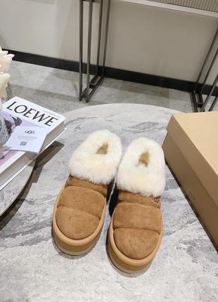 Укорочені угги ugg