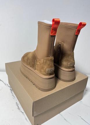 Новинка! угги ugg classic dipper chestunt