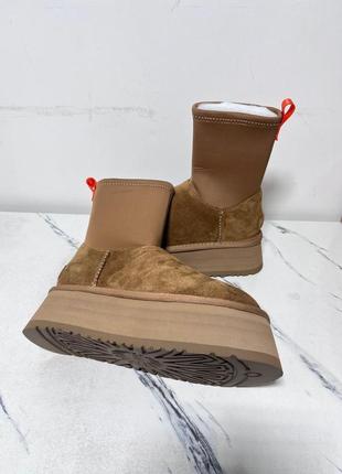 Новинка! угги ugg classic dipper chestunt