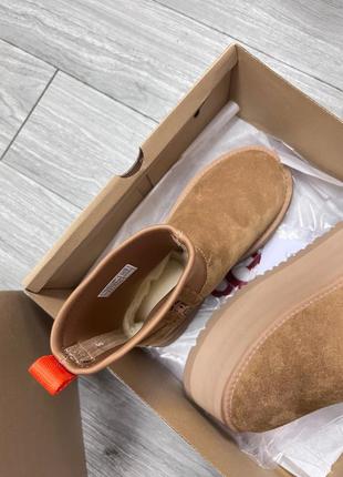 Новинка! угги ugg classic dipper chestunt