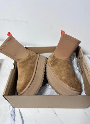 Новинка! угги ugg classic dipper chestunt