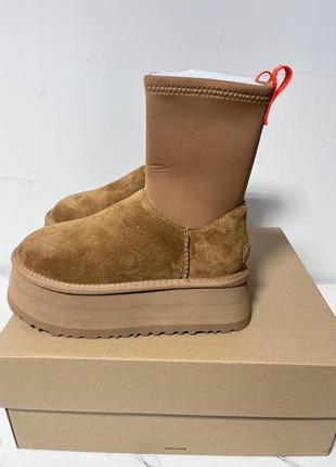 Новинка! угги ugg classic dipper chestunt