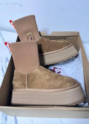Новинка! угги ugg classic dipper chestunt
