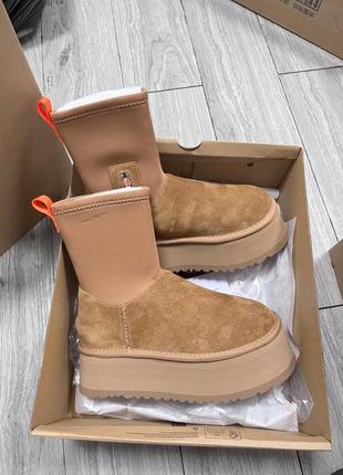 Новинка! угги ugg classic dipper chestunt