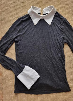 Кофта рубашка лонгслив осень офис классика база