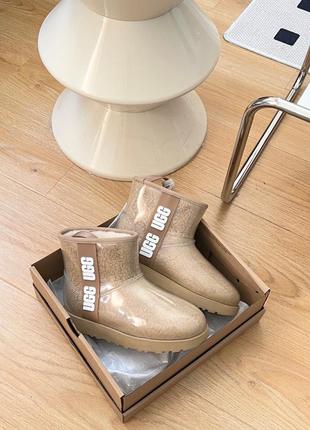 Уггі від ugg classic clear mini