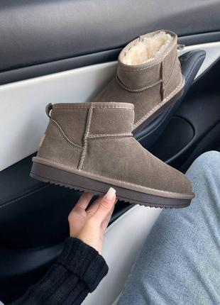 Ugg ultra mini1 фото