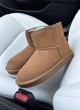 Жіночі зимові уггі ugg7 фото