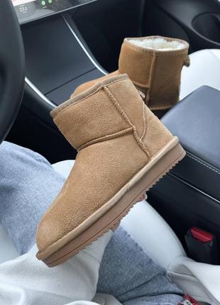 Жіночі зимові уггі ugg5 фото