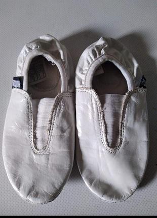 Чешки кожаные и тканини балетки