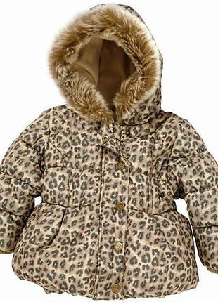 Куртка next  демисезонная  2-3 года3 фото