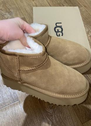 Угги ugg из натуральной замши и на овчине
