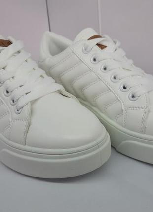 Кросівки stilli білі на шнурку жіноче взуття 37р39р./r183-25 фото
