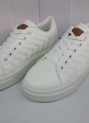 Кросівки stilli білі на шнурку жіноче взуття 37р39р./r183-24 фото