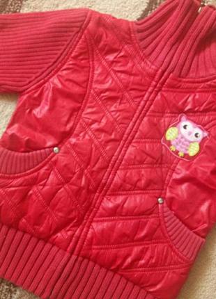 Кофта, ветровка 110см