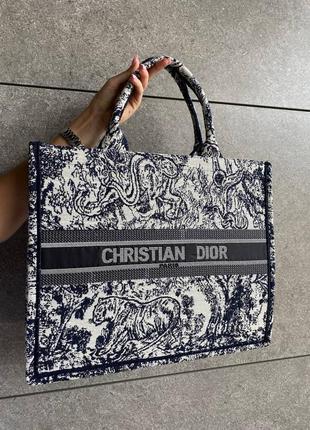 Dior book beige blue