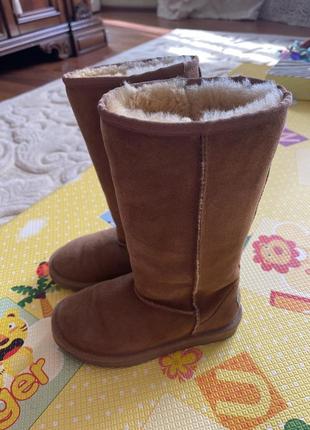 Зимние сапоги ugg оригинал
