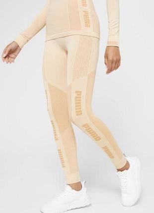 Лосіни puma