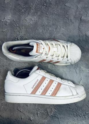 Кросівки adidas superstar