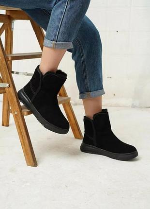 Женские зимние угги allsy (lonza) из натуральной замши