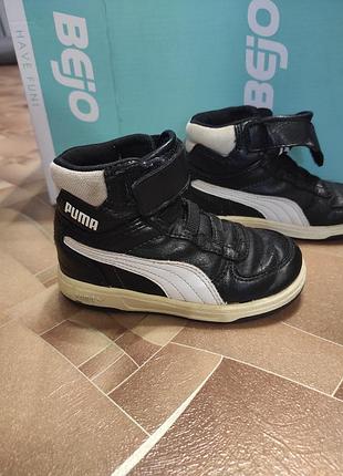 Хайтопы кроссовки puma 23p