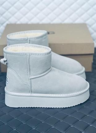 Женские зимние замшевые ugg mini замш серые угг замшевые серые мины