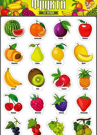 Игра на магнитах "фрукты" 45*30 см artos games украина (12)