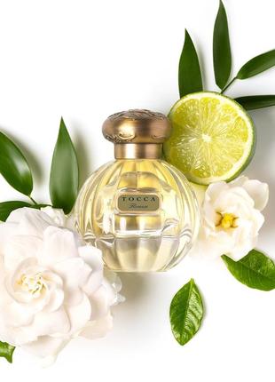 Миниатюра парфюма tocca florence eau de parfum3 фото